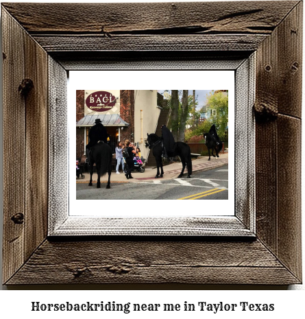 horseback riding near me in Taylor, Texas